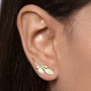 Sterling Silver Leaves and Berries Climbing Earrings by Shirli Matatia